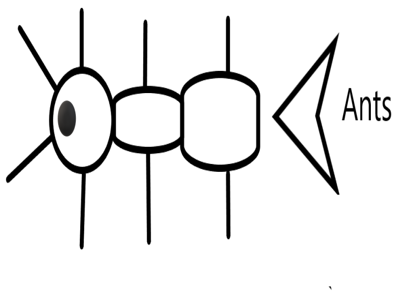 Haber 1